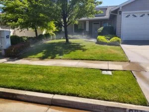 Lawn and Sprinklers